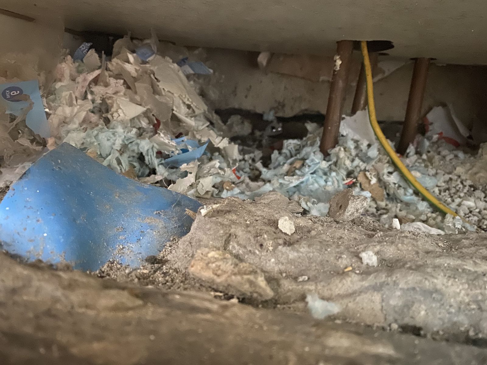 Torn insulation and nesting debris around pipes under a floor